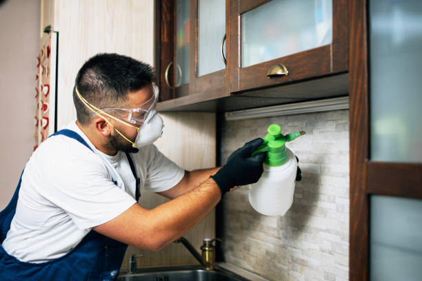 Best Emergency Pest Control  in Burton, SC
