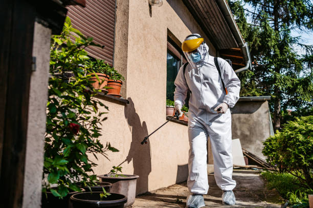Best Pest Prevention Services  in Burton, SC