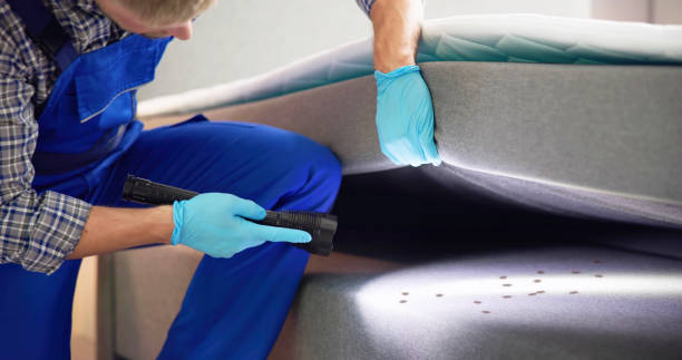 Best Pest Control Cost  in Burton, SC